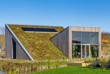 sustainable features: Green Roof